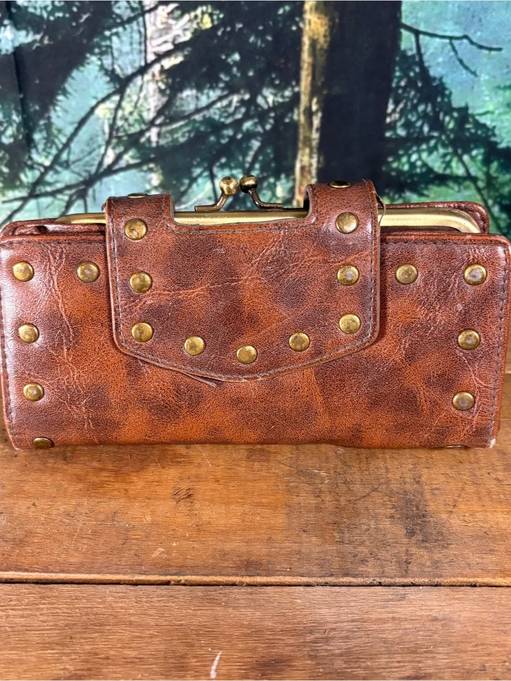 Braciano brown studded